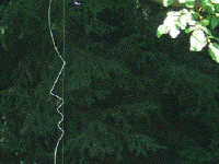 2005 sculpture for private German collection